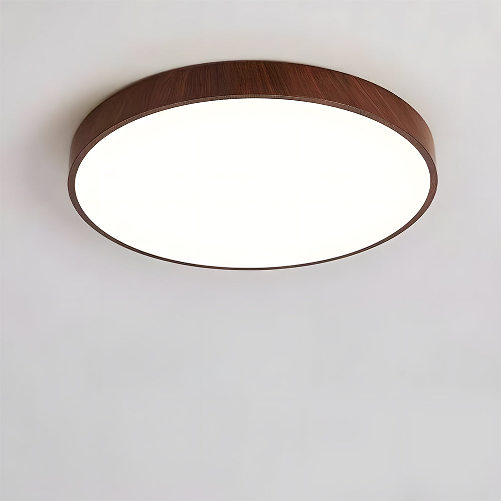 Modern Ceiling Lamp Living Room Led Lighting