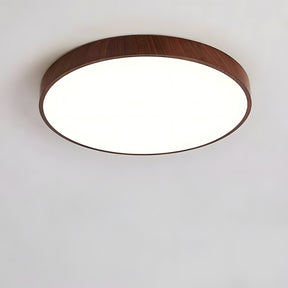 Modern Ceiling Lamp Living Room Led Lighting