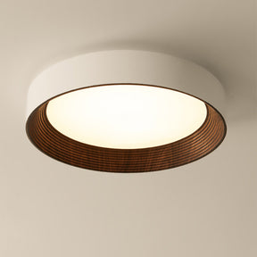 Modern Simple LED Ceiling Light