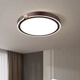 LED Modern Luxury Simple Ceiling Lights