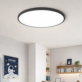 Orion Round Flush Mount Ceiling Light