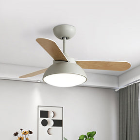 Nordic Modern Simple Flush Ceiling Fan With LED Lighting