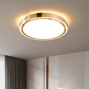 LED Modern Luxury Simple Ceiling Lights