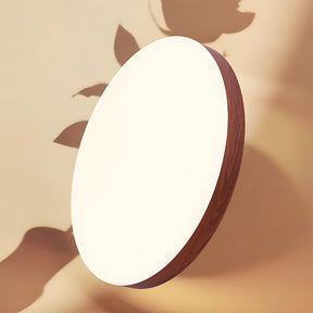 Close-to-Ceiling Lights Round LED Ceiling Lamp