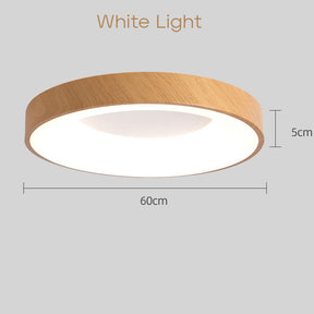 Simple Acrylic Bedroom LED Ceiling Lights