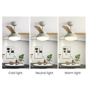 Nordic Modern Simple Flush Ceiling Fan With LED Lighting