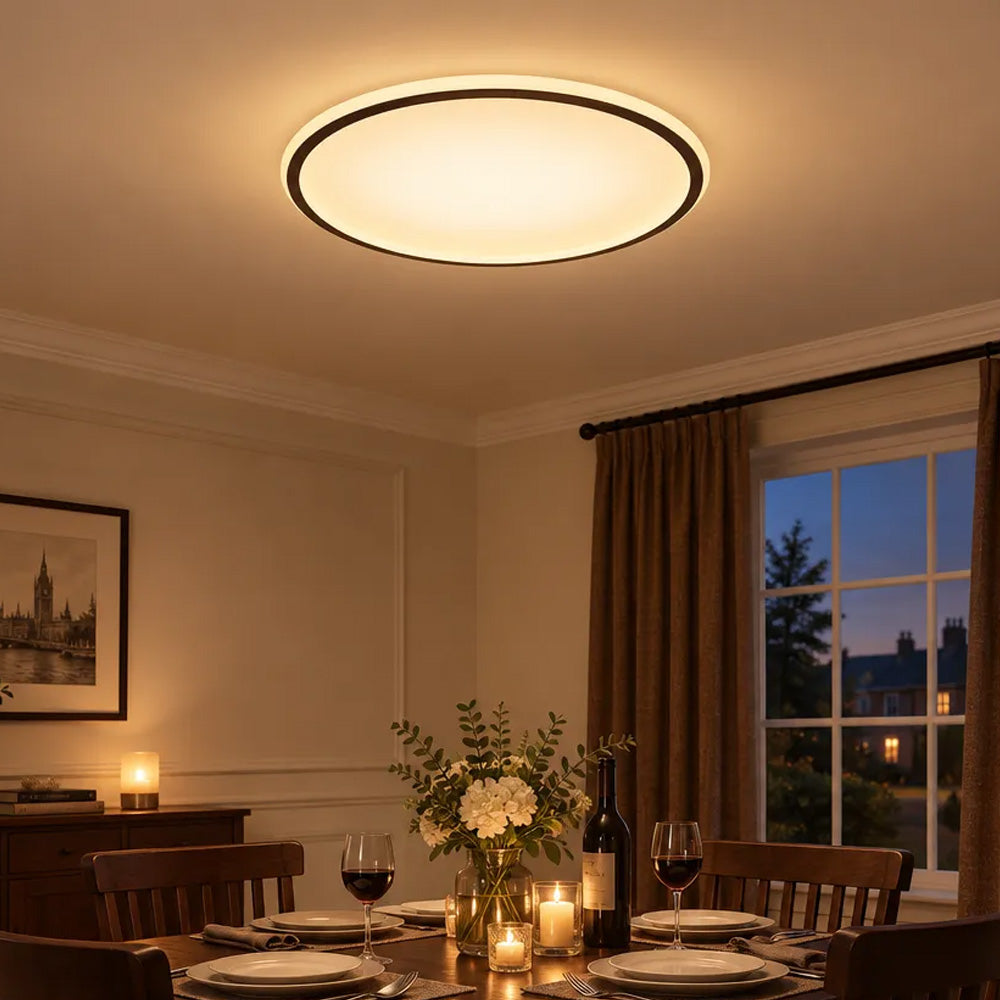 Orion Slim LED Round Ceiling Light