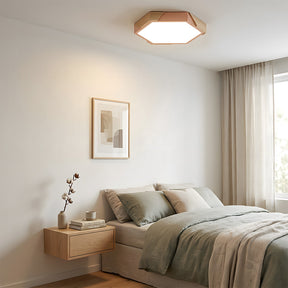 Modern Flush Mount Hexagonal LED Ceiling Lights for Hallway