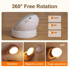 Contemporary Motion Sensor Light