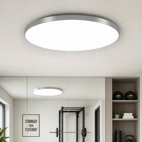 Orion Round Flush Mount Ceiling Light