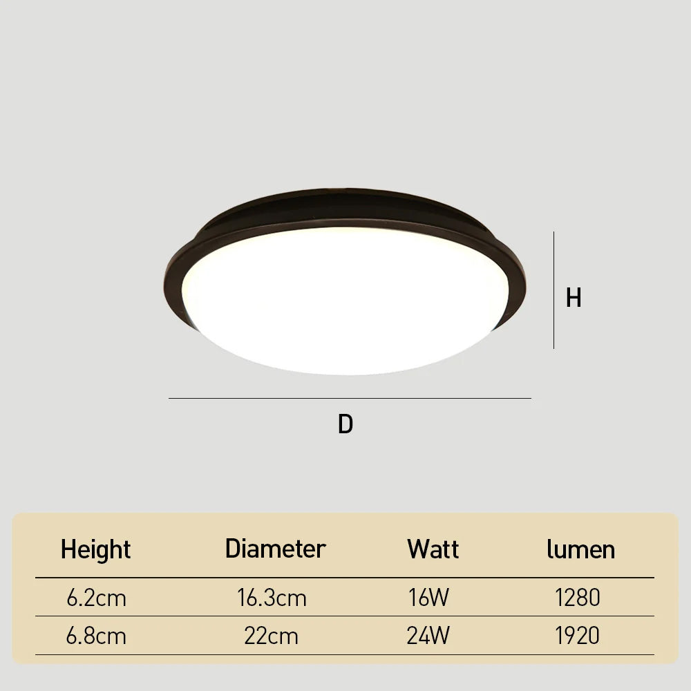 Modern Waterproof LED Outdoor Ceiling Lights for Porch Balcony