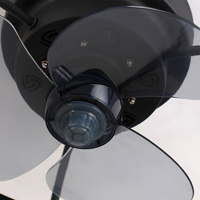 Modern Low Profile Ceiling Fan with Light 6 Speeds Reversible DC Motor Fan Light