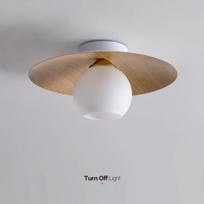 Modern Semi Flush Ceiling Lights