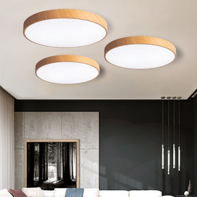 Modern Concise Style Wrought Iron Ceiling Light