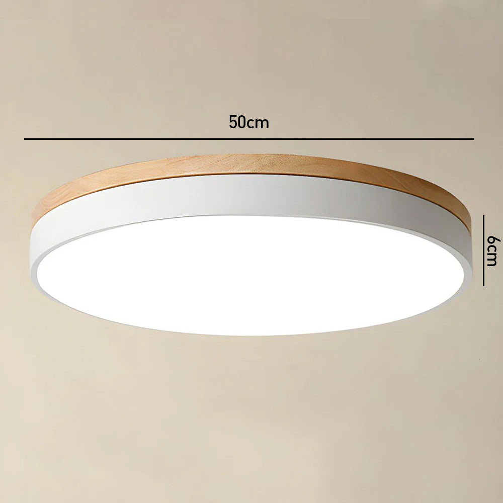Modern Minimalist Round Flush LED Ceiling Lights