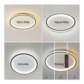 Nordic Style Disc LED Ceiling Lighting