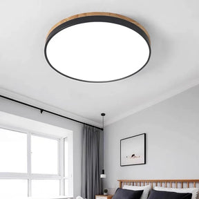 Living room modern led ceiling lights