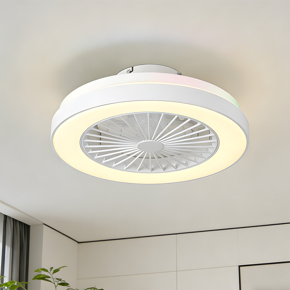 Modern LED 6-Speed Adjustable Ceiling Fan Light, Dimmable