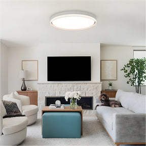 Modern living room with a ceiling light fixture, TV, and decorative elements.