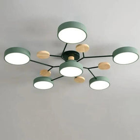 Modern Circular Living Room LED Ceiling Light