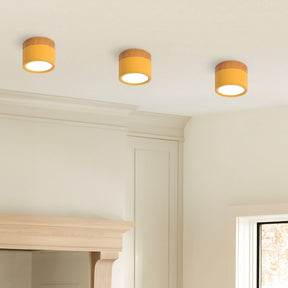 Small Hallway Flush LED Ceiling Lights