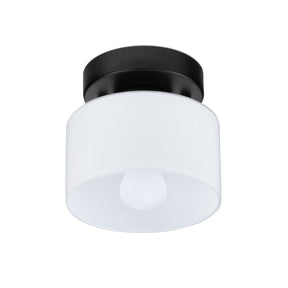 Bauhaus Small Glass Ceiling Light