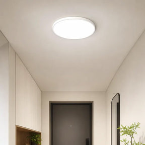 Orion Round Flush Mount Ceiling Light
