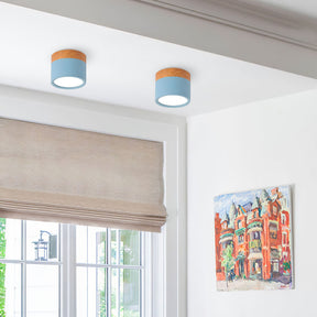 Cylinder Small Flush Ceiling Lights