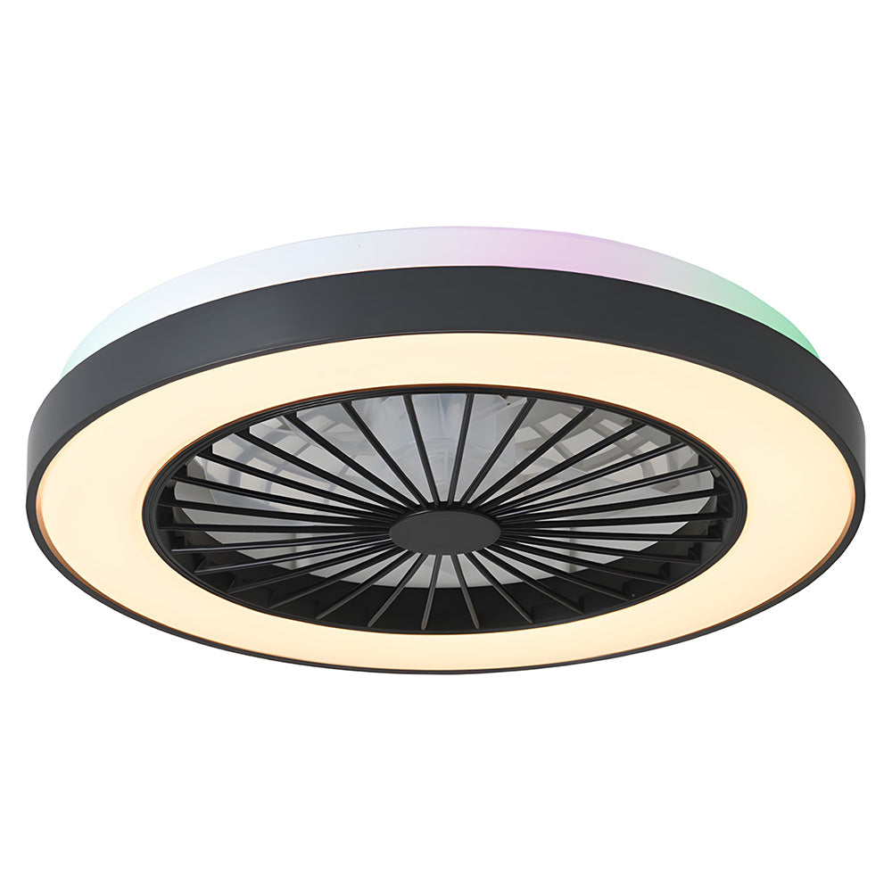 Modern LED 6-Speed Adjustable Ceiling Fan Light, Dimmable