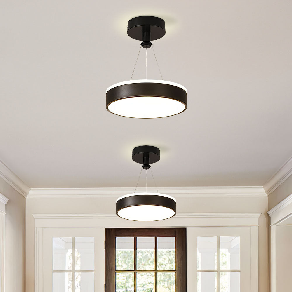 Modern Metal LED Pendant Ceiling Lights For Hallway