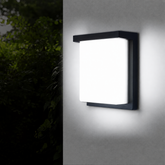 Modern Simple IP65 LED Outdoor Wall Light