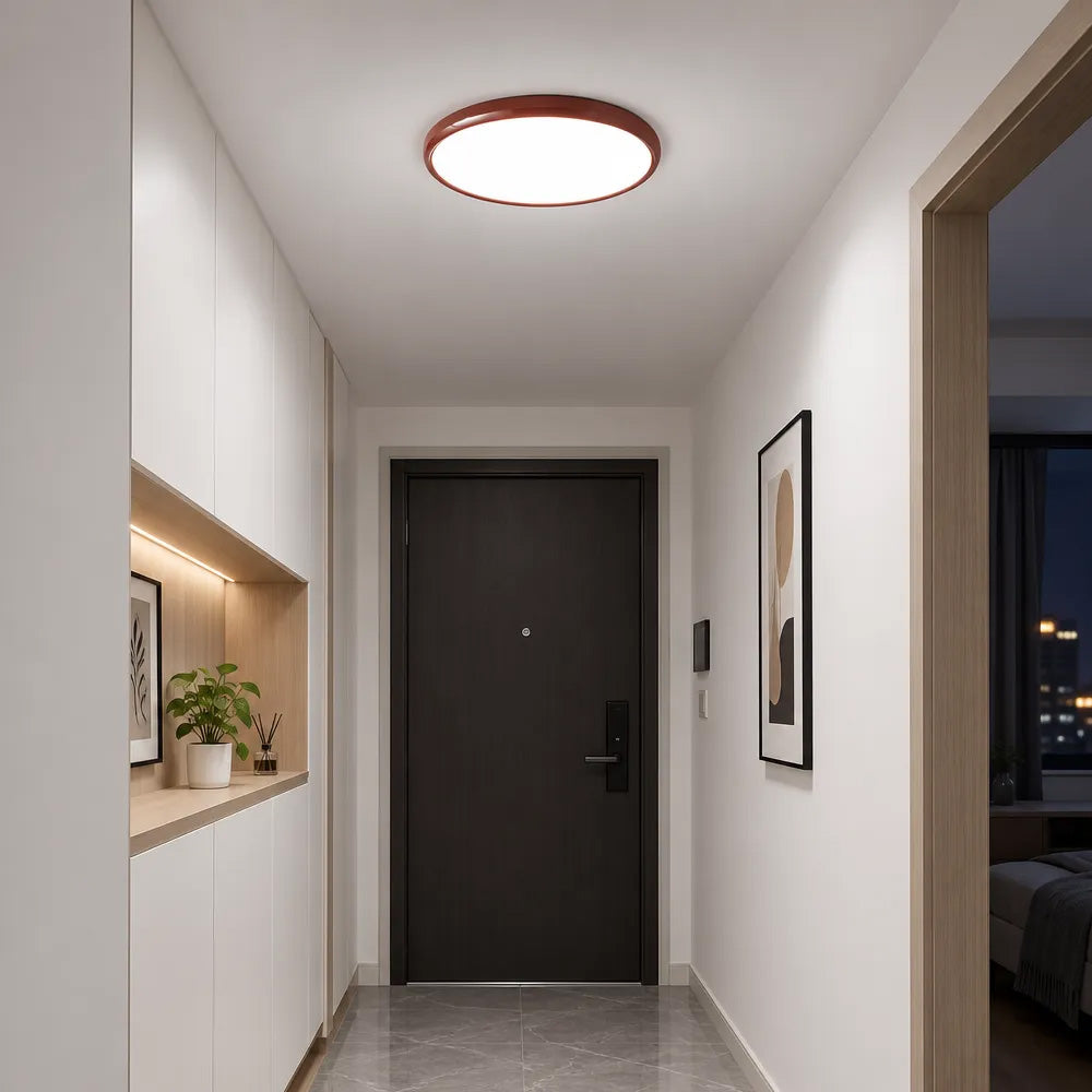 Modern Minimalism Acrylic LED Ceiling Lights for Bedroom