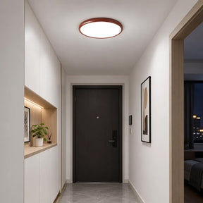 Modern Minimalism Acrylic LED Ceiling Lights for Bedroom