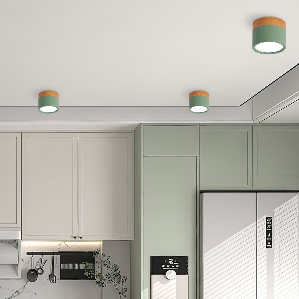 Cylinder Small Flush Ceiling Lights