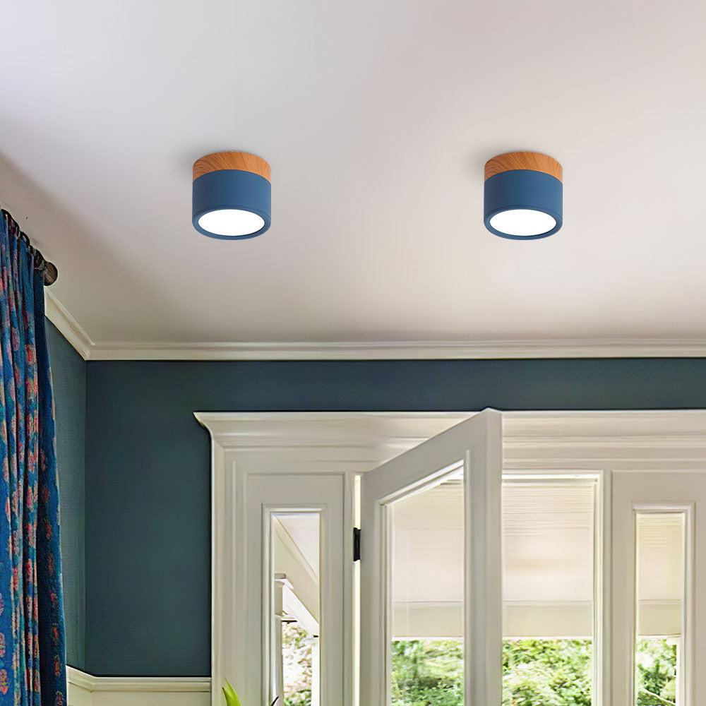 Cylinder Small Flush Ceiling Lights