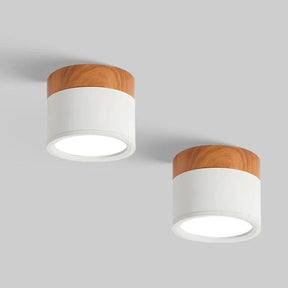 Set of 2 Small Flush Ceiling Lighting Macaron Finish Ceiling Lamp for hallway