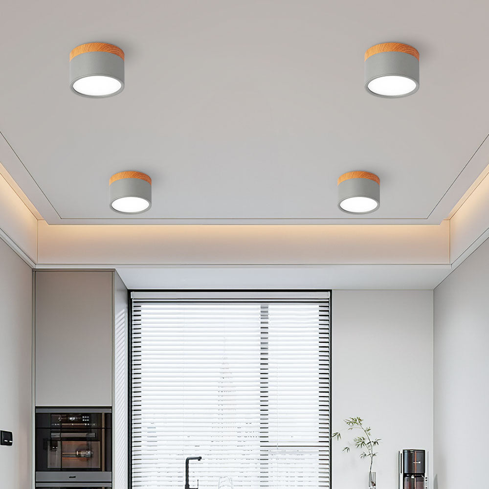 Cylinder Small Flush Ceiling Lights