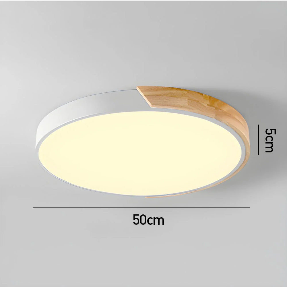 Modern Minimalist Round Flush LED Ceiling Lights