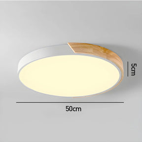 Modern Minimalist Round Flush LED Ceiling Lights