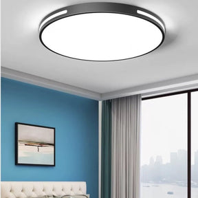 Iron Modern LED Ceiling Lights For Bedroom