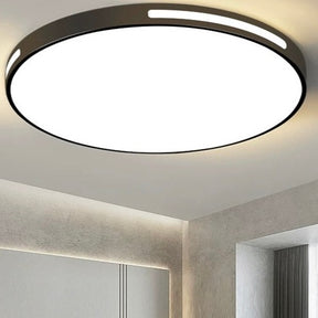 Iron Modern LED Ceiling Lights For Bedroom