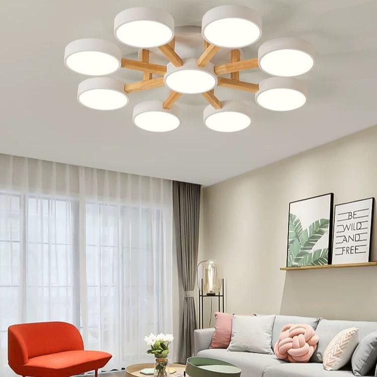 Contemporary Acrylic Bedroom Ceiling Light