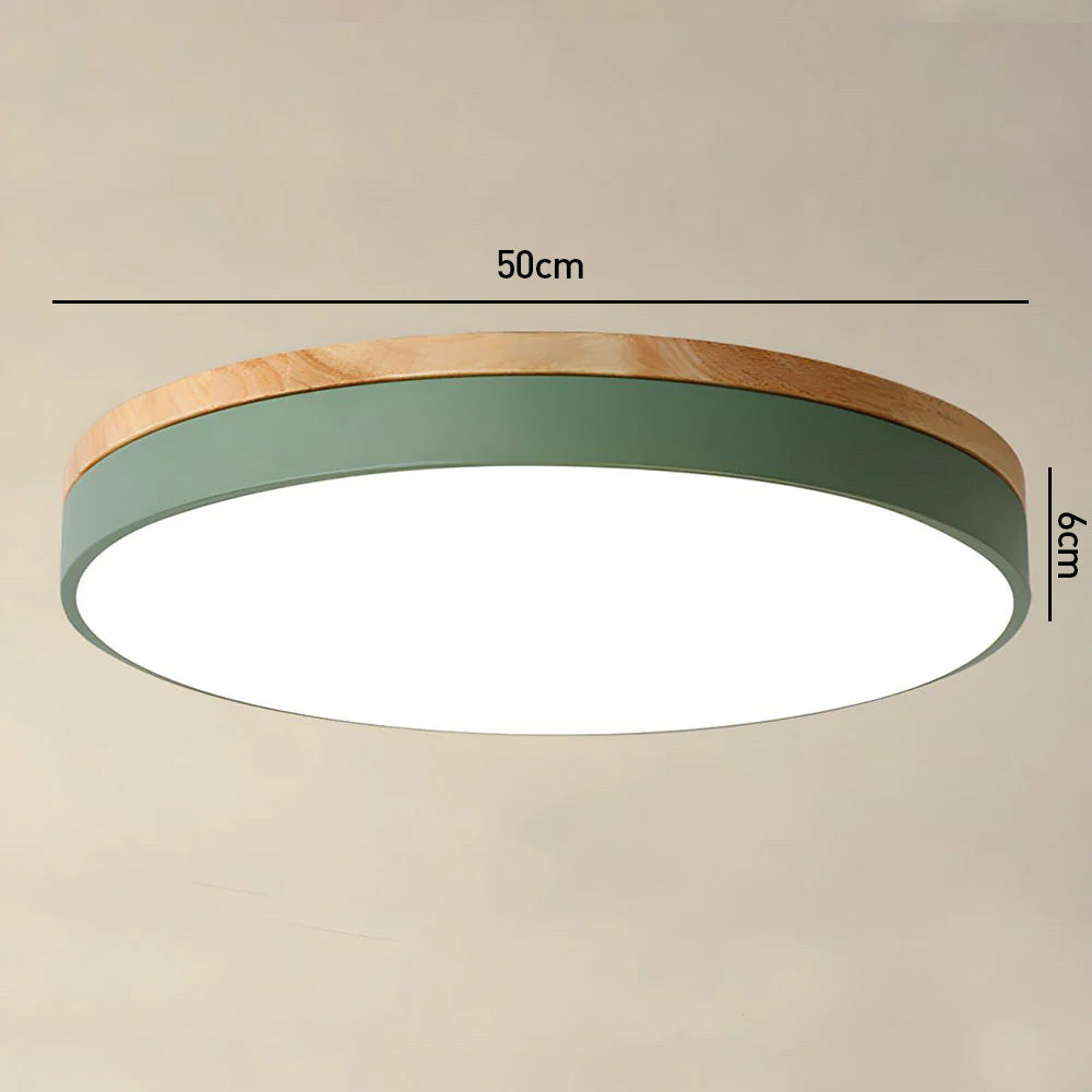 Modern Minimalist Round Flush LED Ceiling Lights