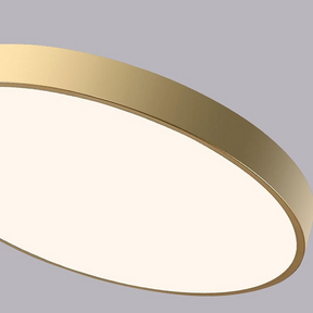 Circular Flush Mount LED Ceiling Lights