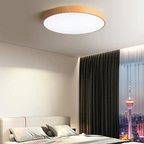 Modern Concise Style Wrought Iron Ceiling Light