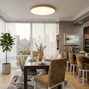Orion Round Flush Mount Ceiling Light