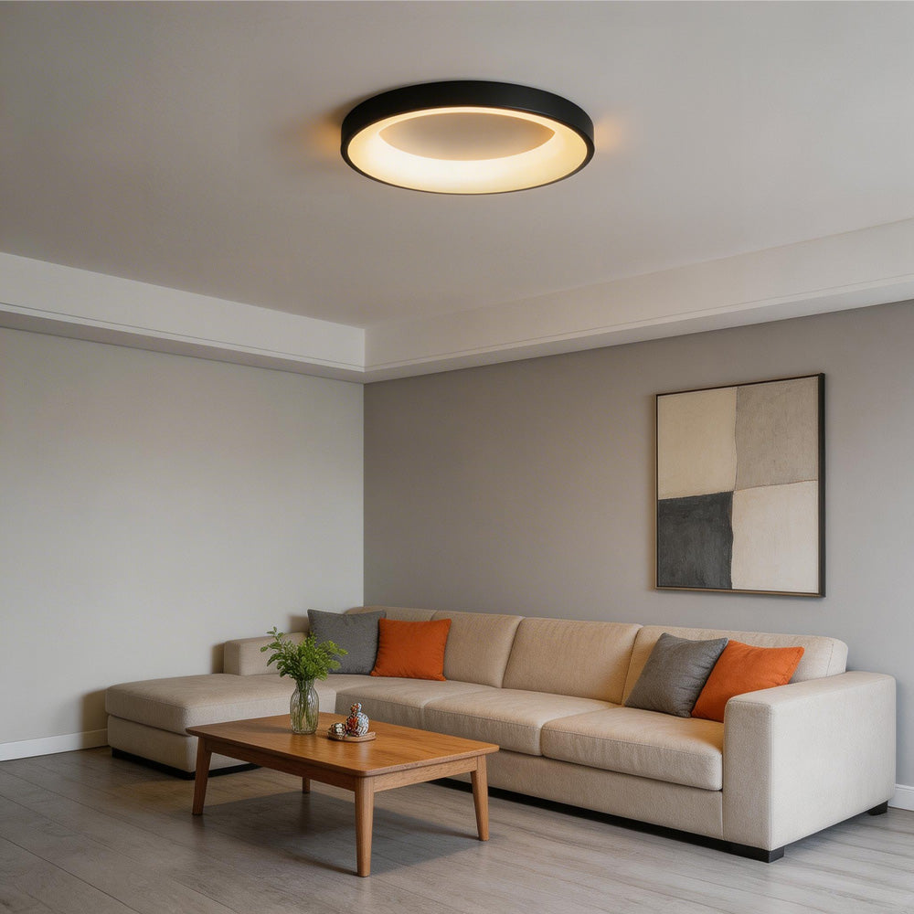 Creative Colorful Simple LED Ceiling Lights