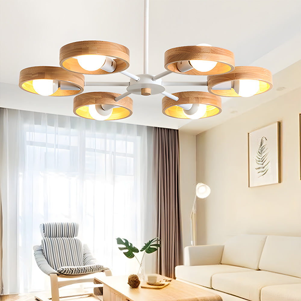 Modern Eco-friendly Ceiling Lamp For Living Room