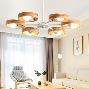 Modern Eco-friendly Ceiling Lamp For Living Room