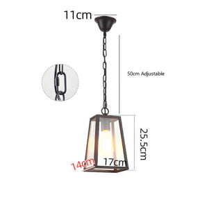 IP65 Vintage Outdoor Ceiling Lights in Black